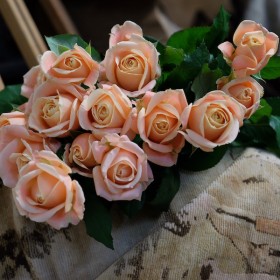 Peach Roses